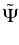 $\displaystyle \tilde{{\Psi}}$